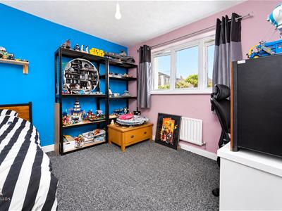 Picture 11